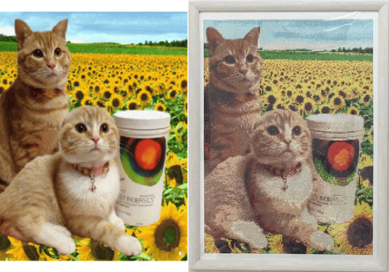 ちゃーちゃんとひめちゃん